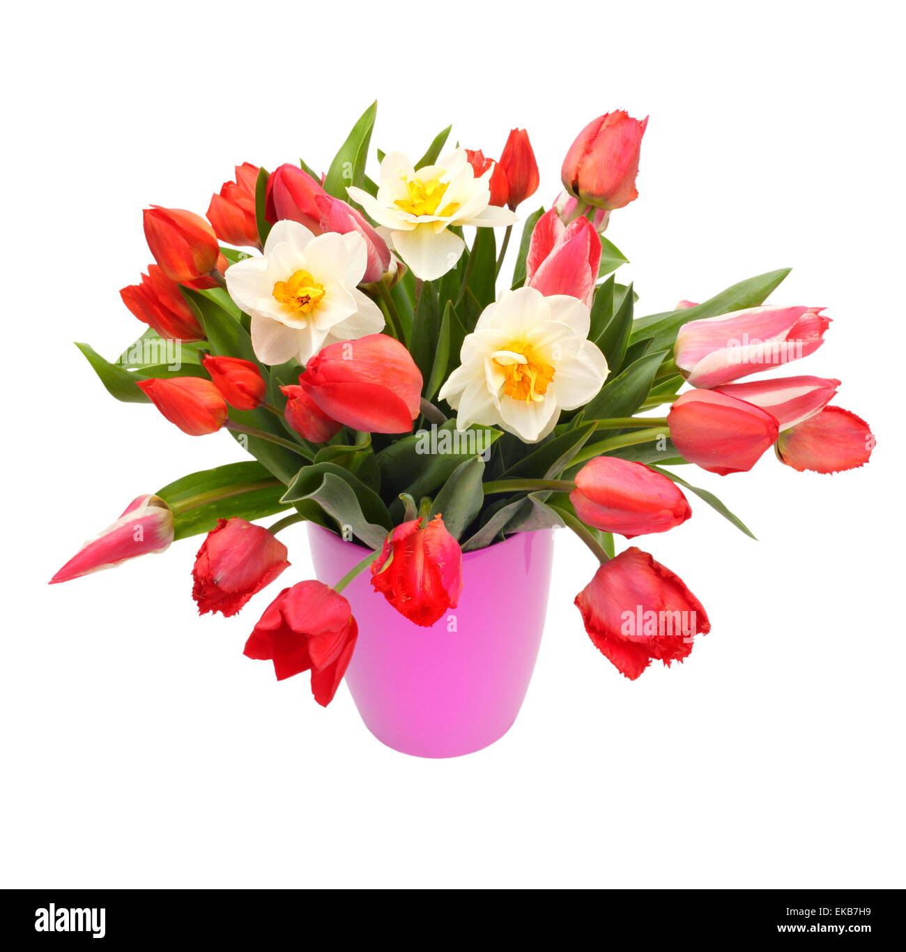 Bouquet de tulipes et fleurs narcisse Banque D'Images