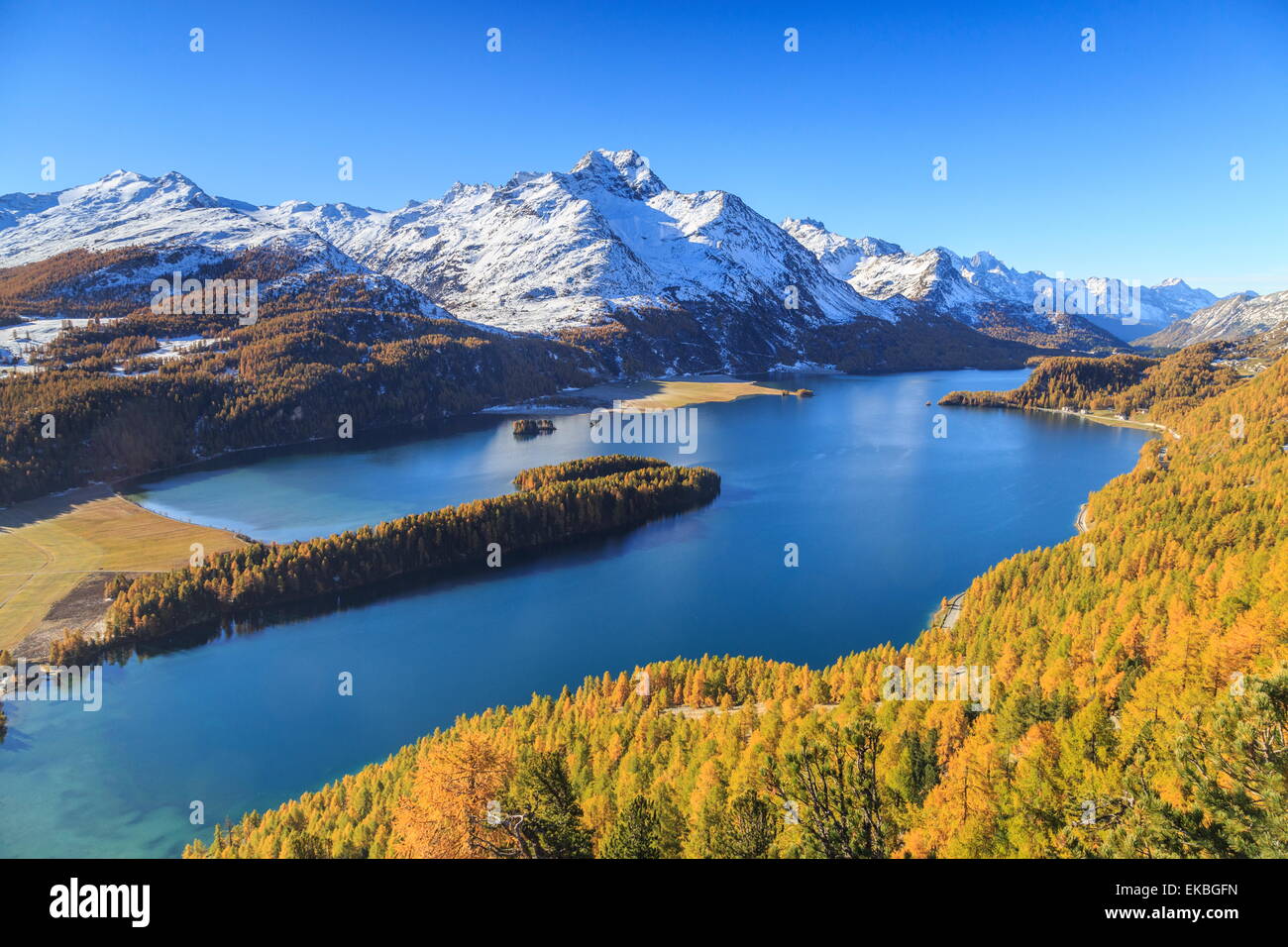 Le Lac de Sils près de St.Moritz en Engadine, où Piz la Margna est déjà  recouverte de neige, Grisons, Suisse, Suisse Photo Stock - Alamy