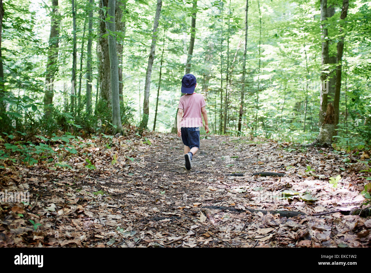 Vue arrière du garçon se promener en forêt, Hudson, Québec, Canada Banque D'Images