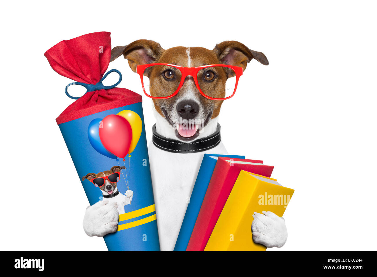 chien de l’école Banque D'Images