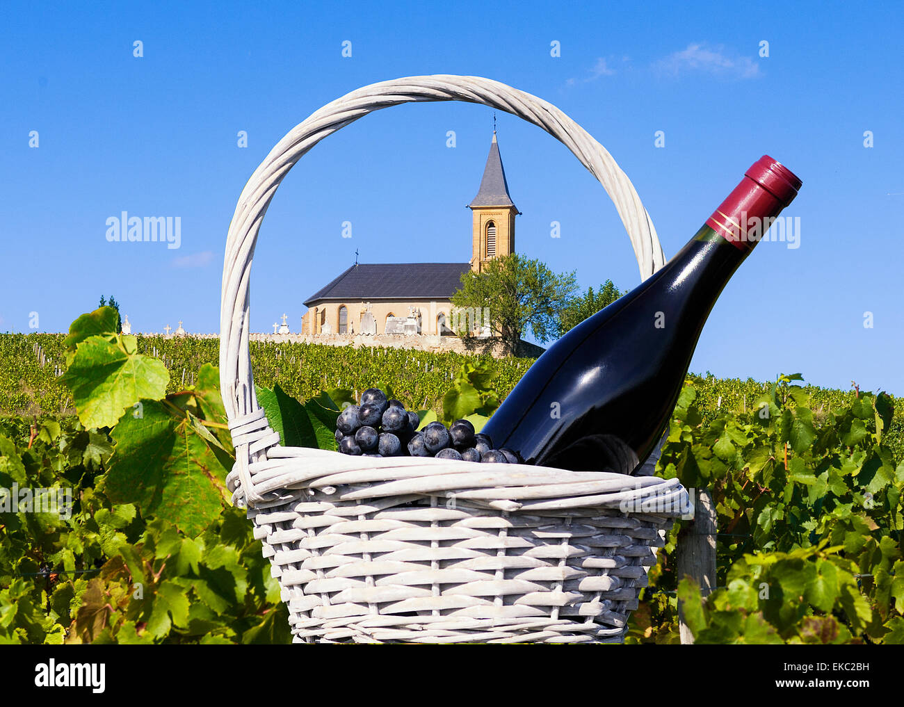 Pays et les vignobles français Banque D'Images