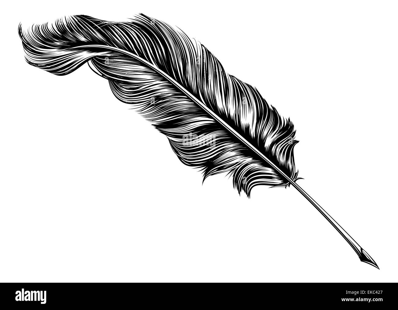 Une illustration originale de plume d'une plume dans un style vintage sur bois Banque D'Images