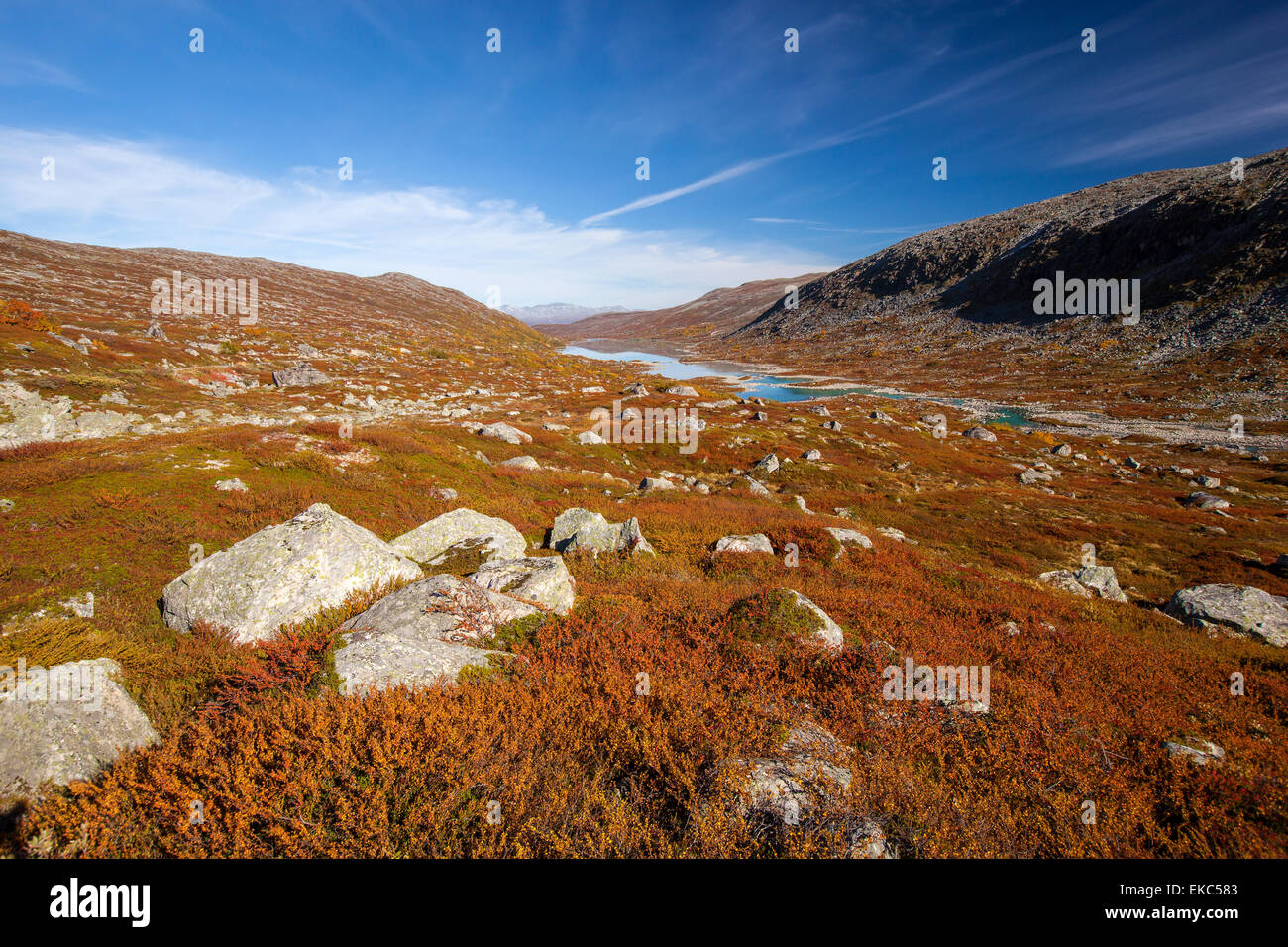 Paysage d'automne ensoleillé Norvège Gamle Strynefjellsvegen Banque D'Images