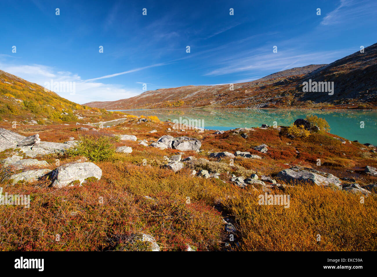 Paysage d'automne ensoleillé Norvège Gamle Strynefjellsvegen Banque D'Images