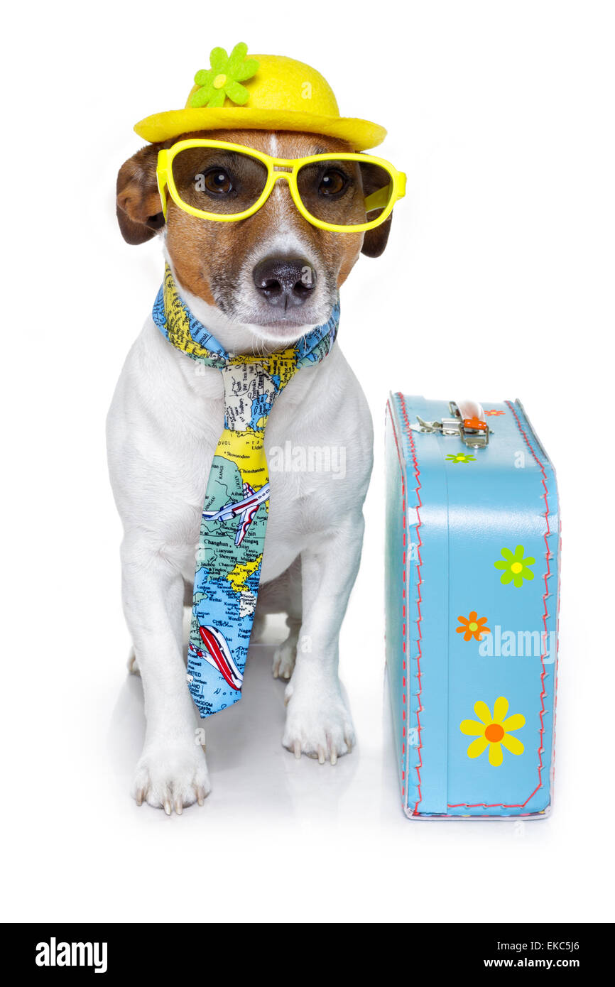 Tourisme vacances chien Banque D'Images