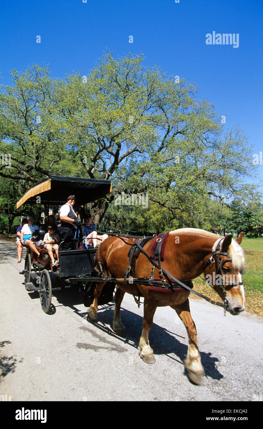 Calèche, Beaufort, Caroline du Sud, USA. Banque D'Images