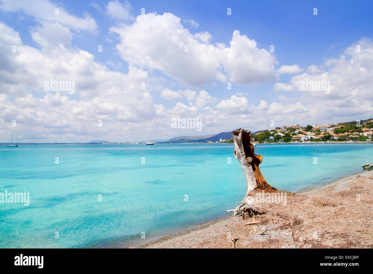 Alcanada Aucanada plage de Majorque Îles Baléares Banque D'Images