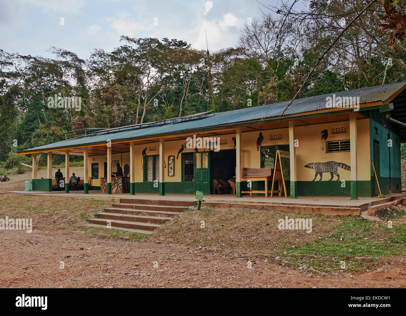 Station forestière de Primate Lodge Kibale, parc national de Kibale, Fortal, portail de l'Ouganda, l'Afrique Banque D'Images