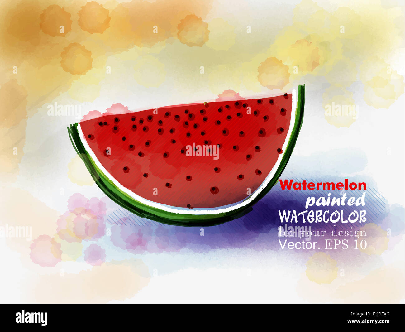 Tranche de melon mûr juteux Banque D'Images