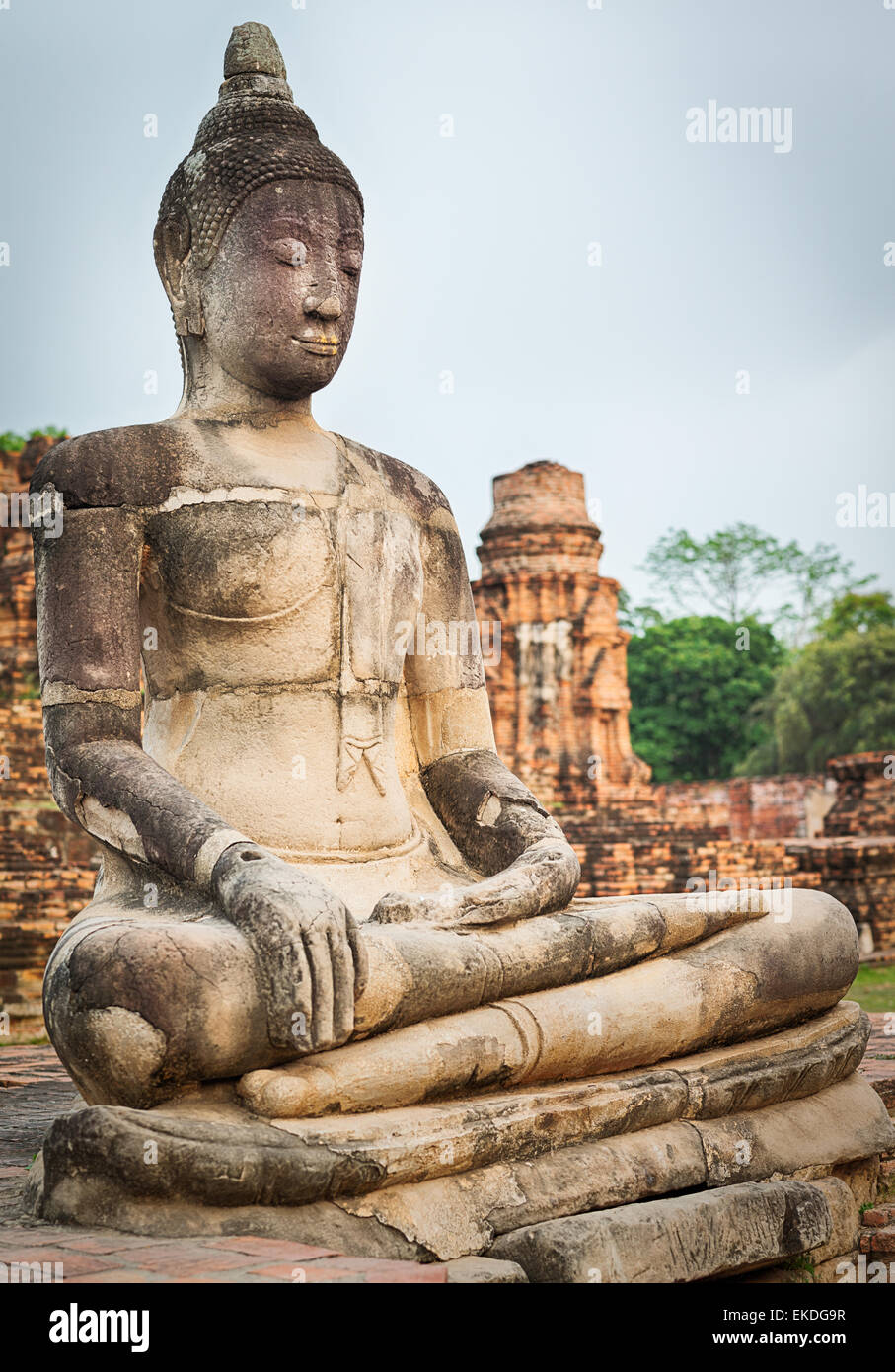Statue de Bouddha dans le Wat Mahatat. Parc historique d'Ayutthaya. Banque D'Images