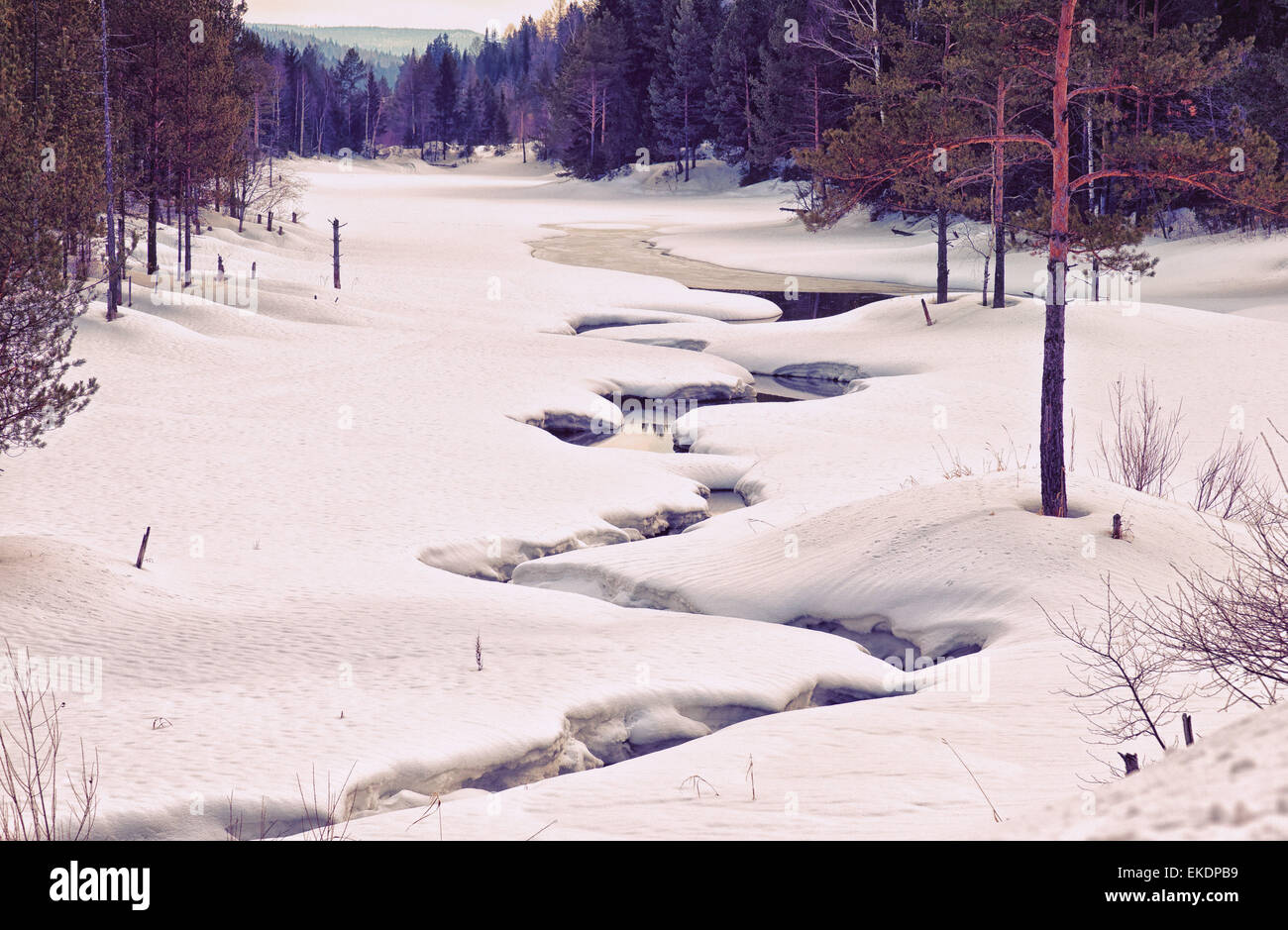 Paysage d'hiver Banque D'Images