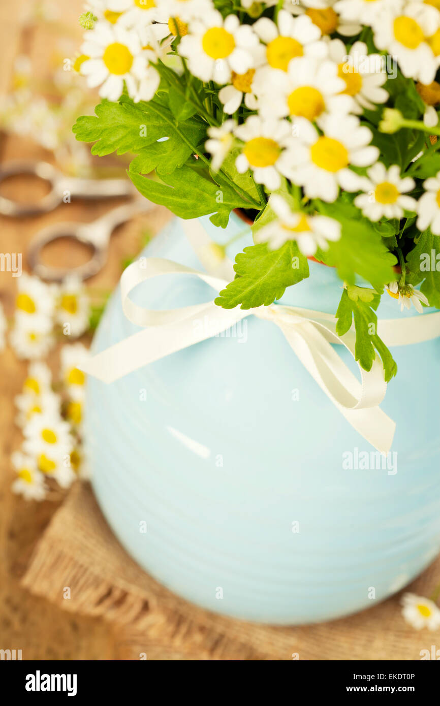 Fleurs dans un vase Banque D'Images