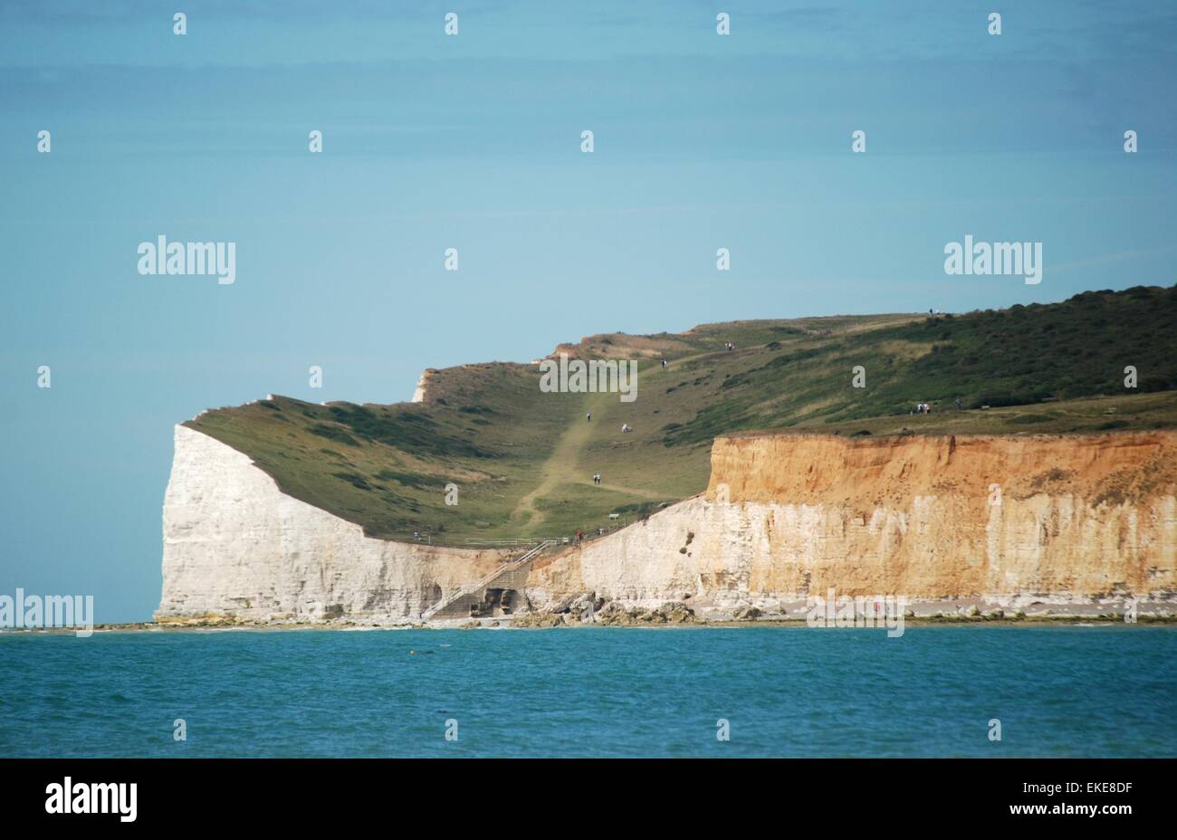 Falaises de craie blanche à Cuckmere Haven sur la côte est du Sussex, Angleterre, Royaume-Uni. Banque D'Images