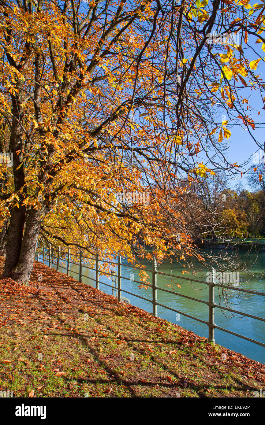 Munich, temps d'automne le long de la rivière Isar, dans le centre ville, arbres à feuilles rouges et or Banque D'Images