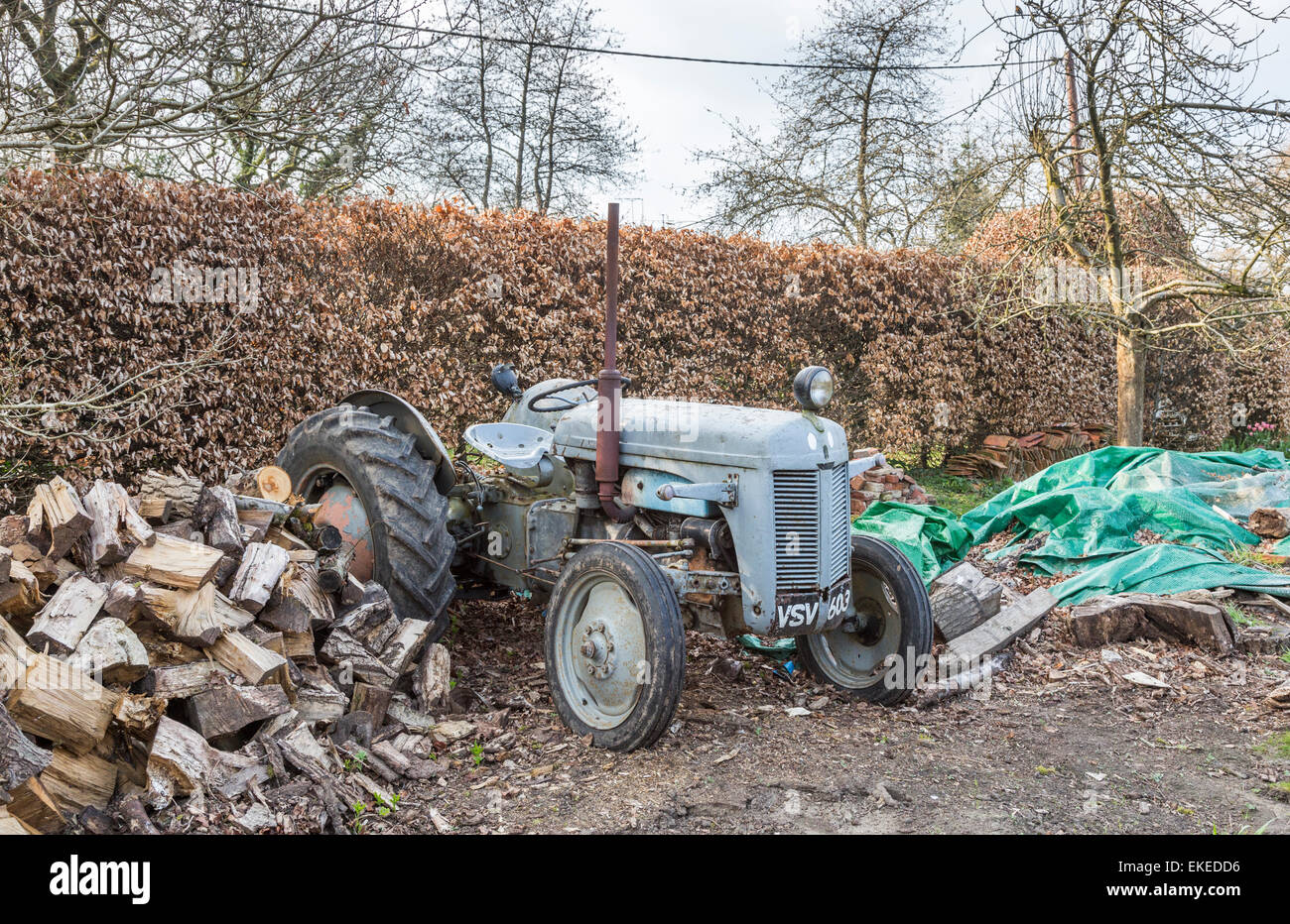 Ventilés et délabrées vintage, gris, à l'ancienne conception traditionnelle du tracteur avec la pile de grumes empilées contre un hêtre haie, Surrey, UK Banque D'Images