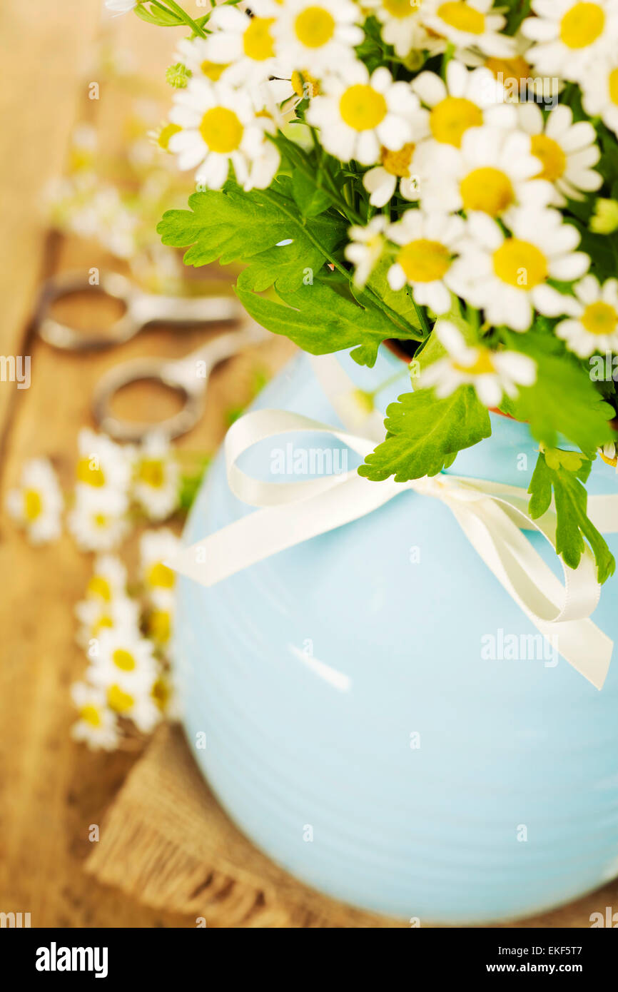 Fleurs dans un vase Banque D'Images