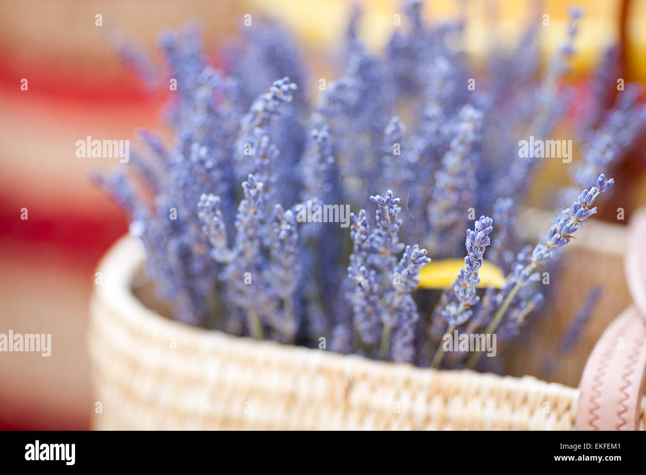 Les fleurs de lavande séchées dans panier à la foire Banque D'Images