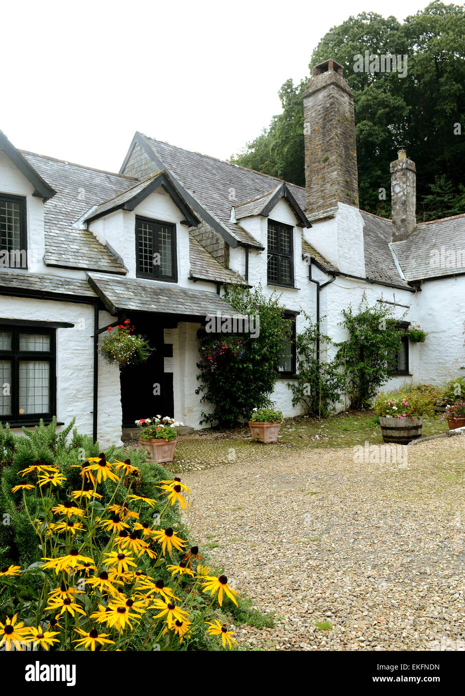 Chambercombe Manor Chambercombe Manor, Ilfracombe Banque D'Images