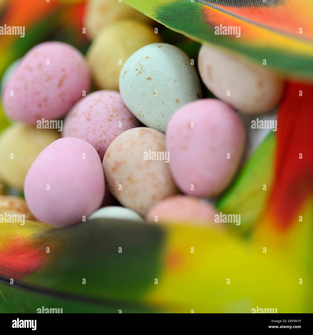 Lumineux et coloré de l'image de Pâques - candy eggs niché dans multi coloured feathers Jane Ann Butler Photography JABPSW029 Banque D'Images