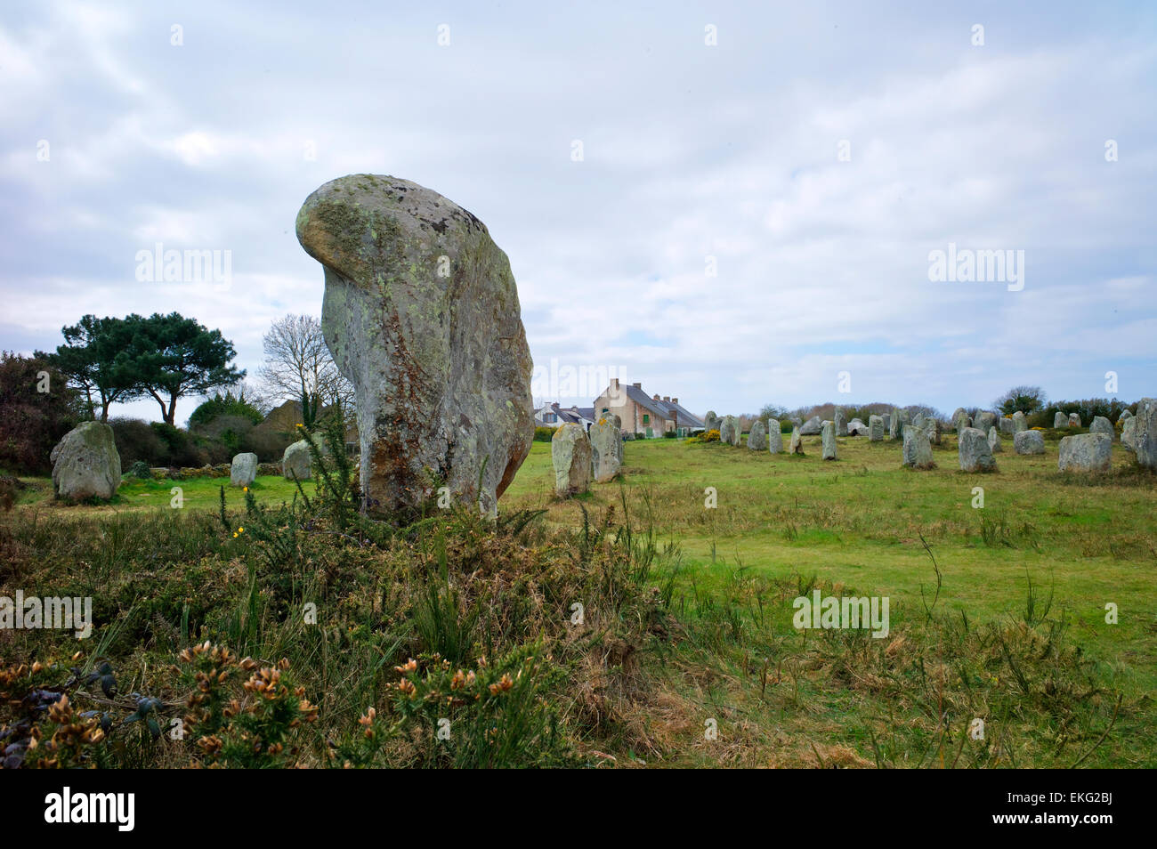 Pierres mégalithiques dans le Menec alignement à Carnac, Bretagne, France Banque D'Images