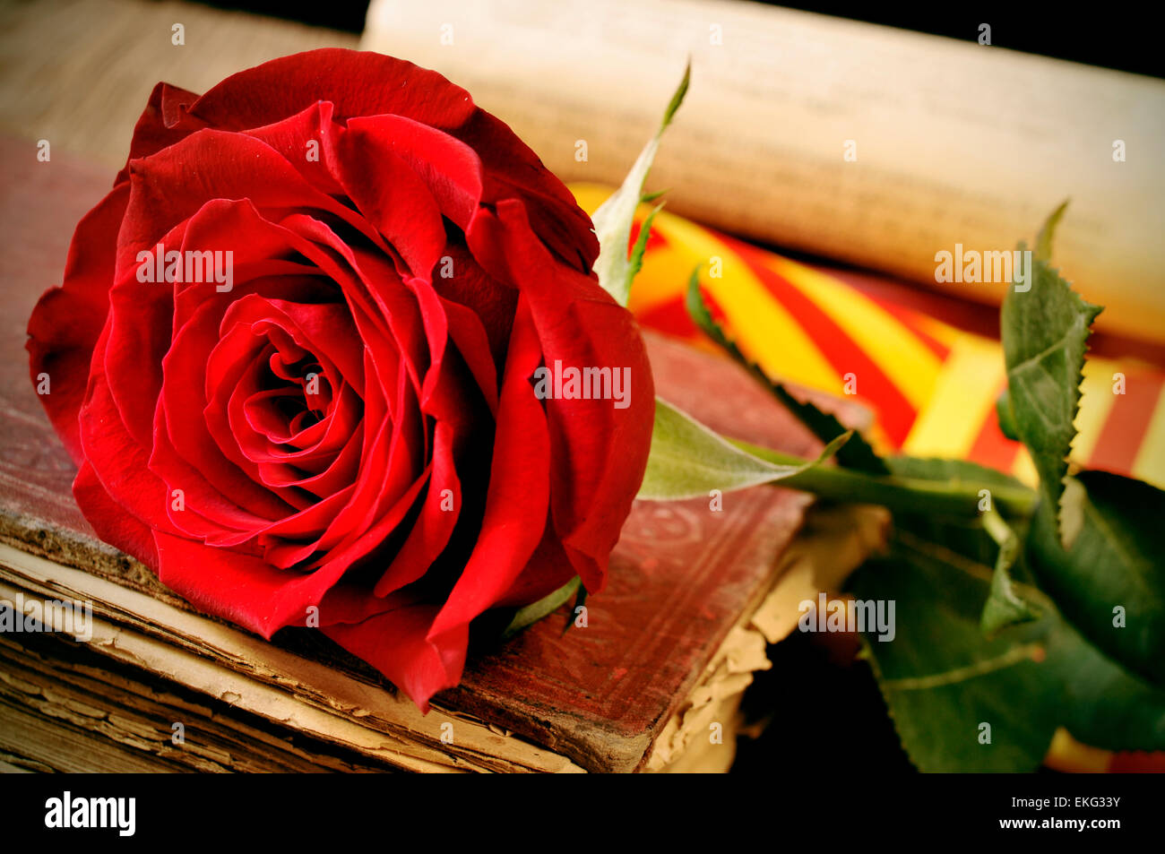 Libre d'une rose rouge et le drapeau catalan sur un vieux livre de Sant Jordi, le Saint Georges 24, lorsqu'il est tradition de donner re Banque D'Images