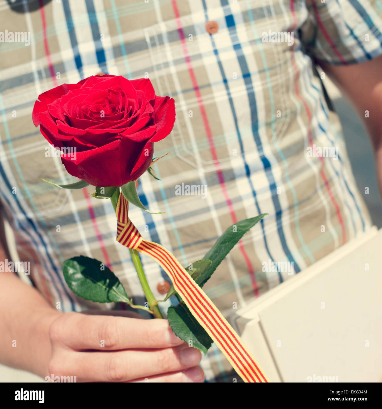 Un jeune homme avec une rose rouge et le drapeau catalan, et un livre pour Sant Jordi, le Saint Georges 24, lorsqu'il est tradition de donner Banque D'Images