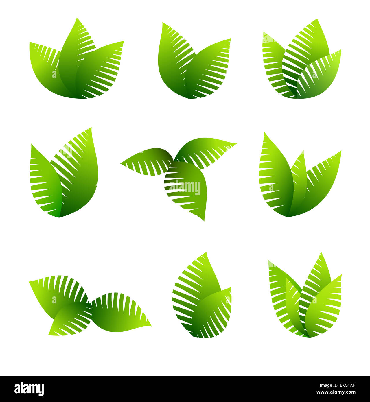 Concept vert en utilisant leafs Banque D'Images