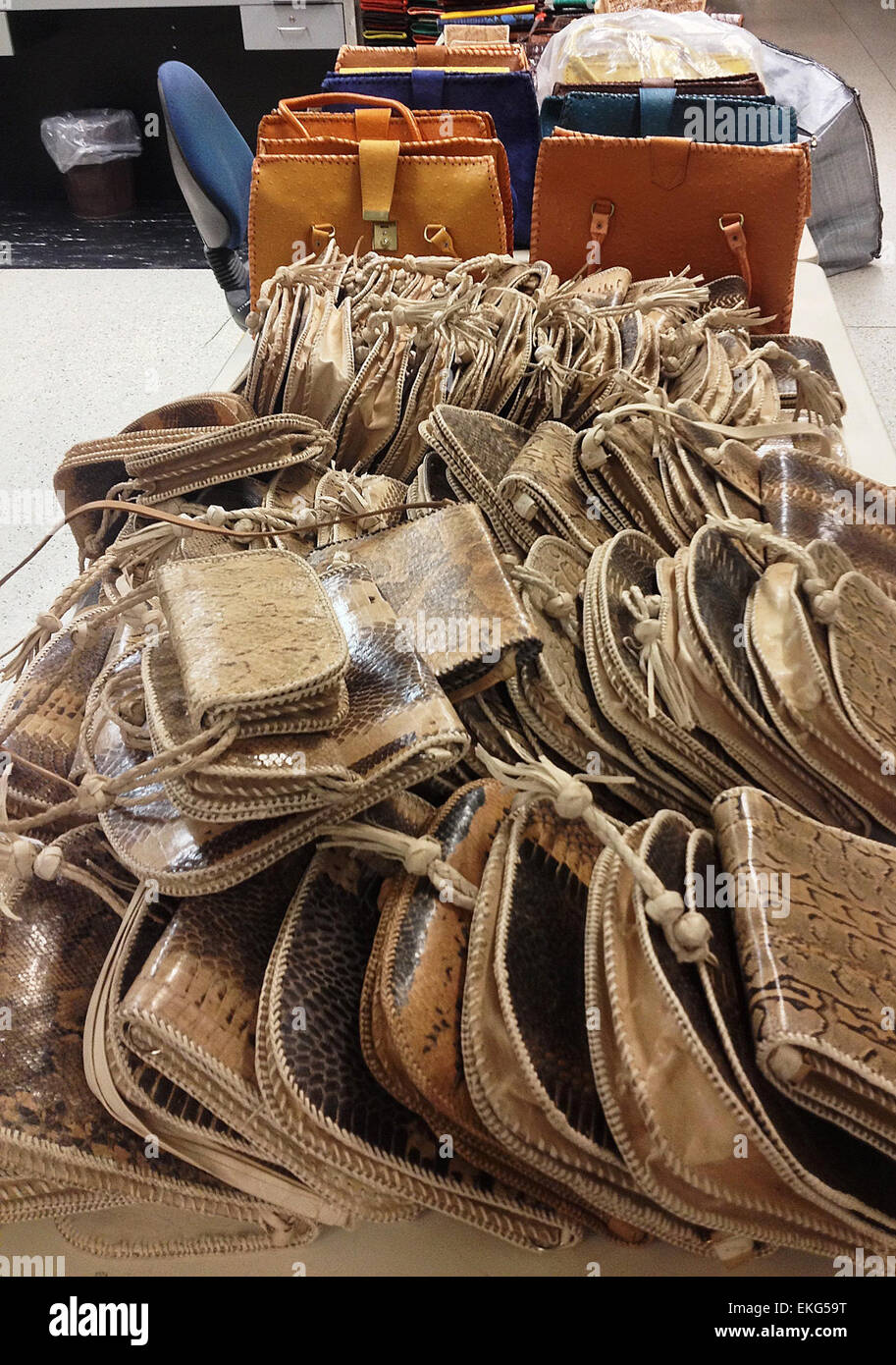 Les agents du CBP à LAX ont intercepté des produits sauvages illégaux, y compris de la viande d'éléphant, un primate mort et des peaux d'animaux exotiques, y compris des sacs à main de serpent, de lézard et de crocodile. Ces articles ont été saisis pour protéger les espèces menacées. Photo de Jaime Ruiz. Banque D'Images