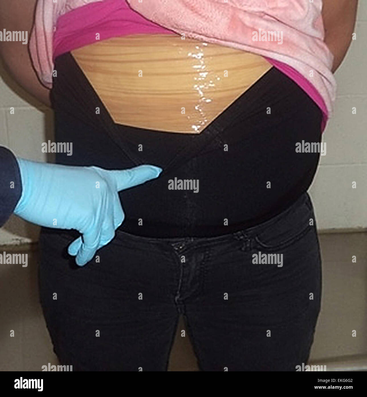 L'équipe canine de CBP Agriculture inspecte les bagages à l'arrivée pour détecter les produits alimentaires interdits dans les aéroports américains, en s'assurant que les articles entrants sont conformes aux réglementations agricoles américaines. L'équipe utilise des chiens spécialement dressés pour détecter les objets illégaux. Photo de James Tourtellotte. Banque D'Images