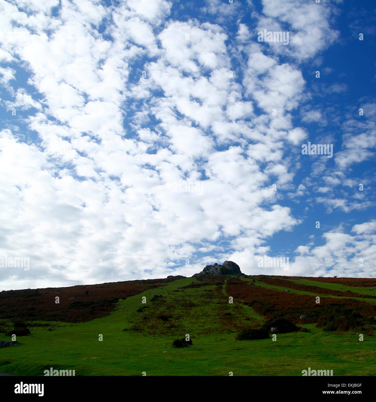 Ciel bleu & la formation de nuages altocumulus au fil des pistes vertes et les roches de granit de foin Devon Dartmoor tor Banque D'Images