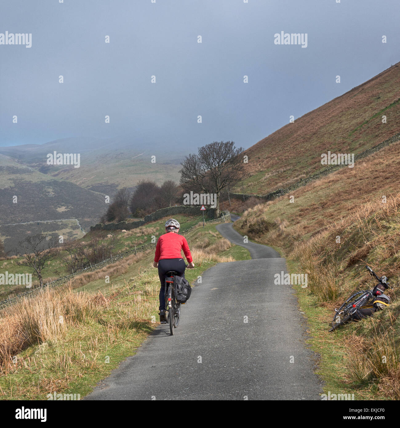 Un vélo de femme loin de la photographe sur la route en direction de gated Whinlatter Pass sur Lorton Vale en Cumbria, Angleterre Banque D'Images