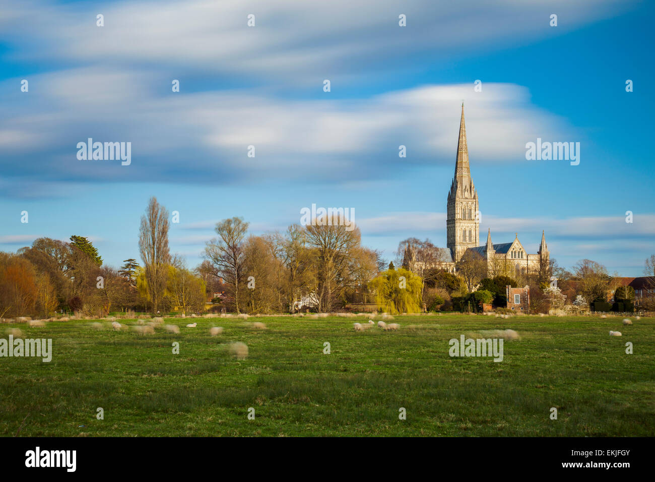 Après-midi de printemps à la cathédrale de Salisbury, Wiltshire, Angleterre. Banque D'Images