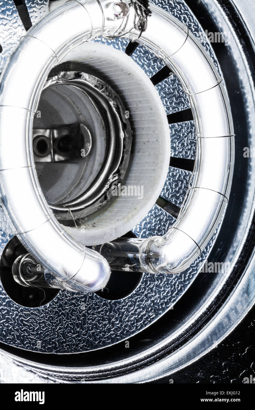 Flash de Studio Professionnel Close-up à l'aide optique Macro Banque D'Images