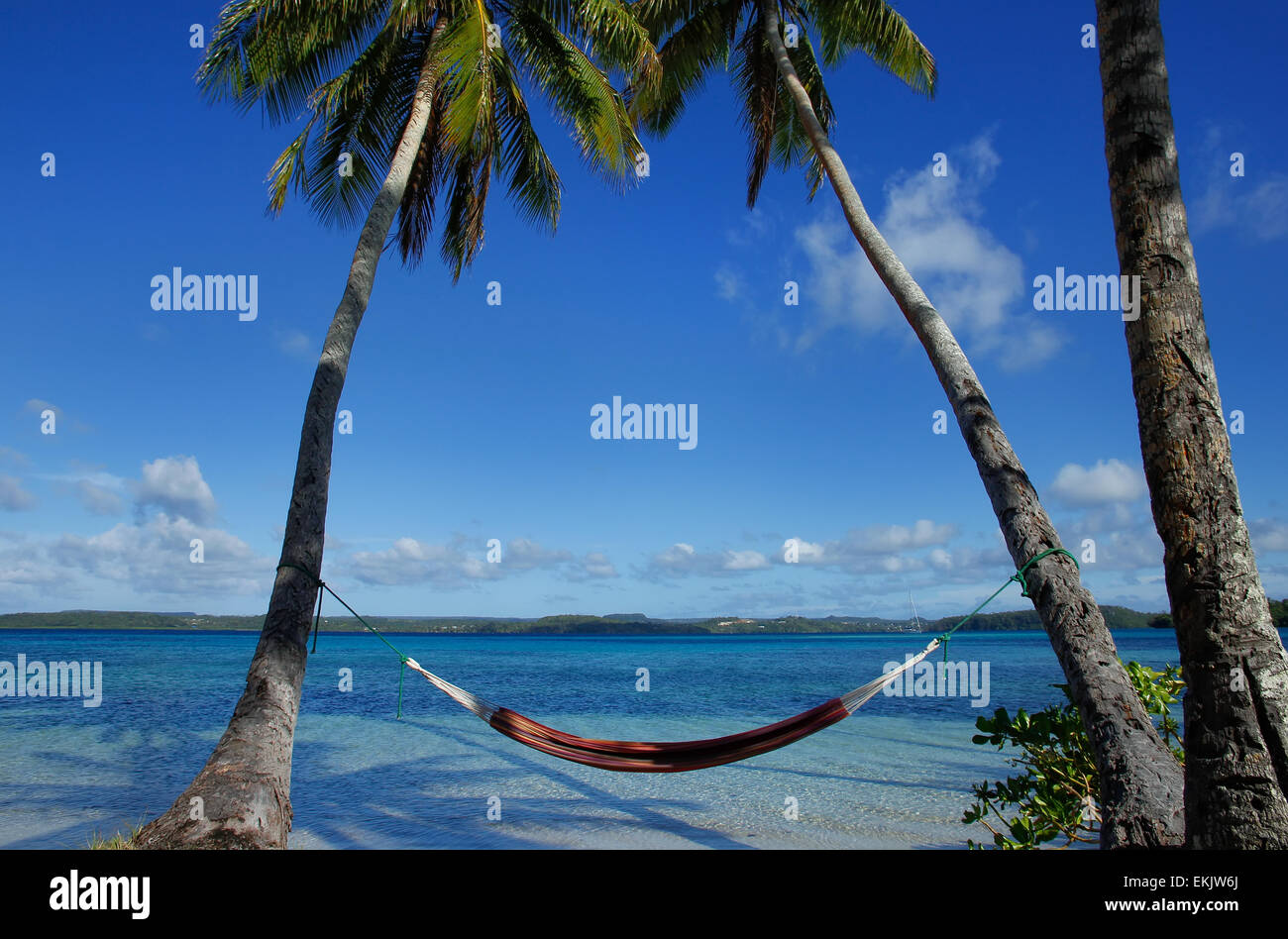 Hamac coloré entre palmiers, Ofu island, groupe Vavau, Tonga Banque D'Images