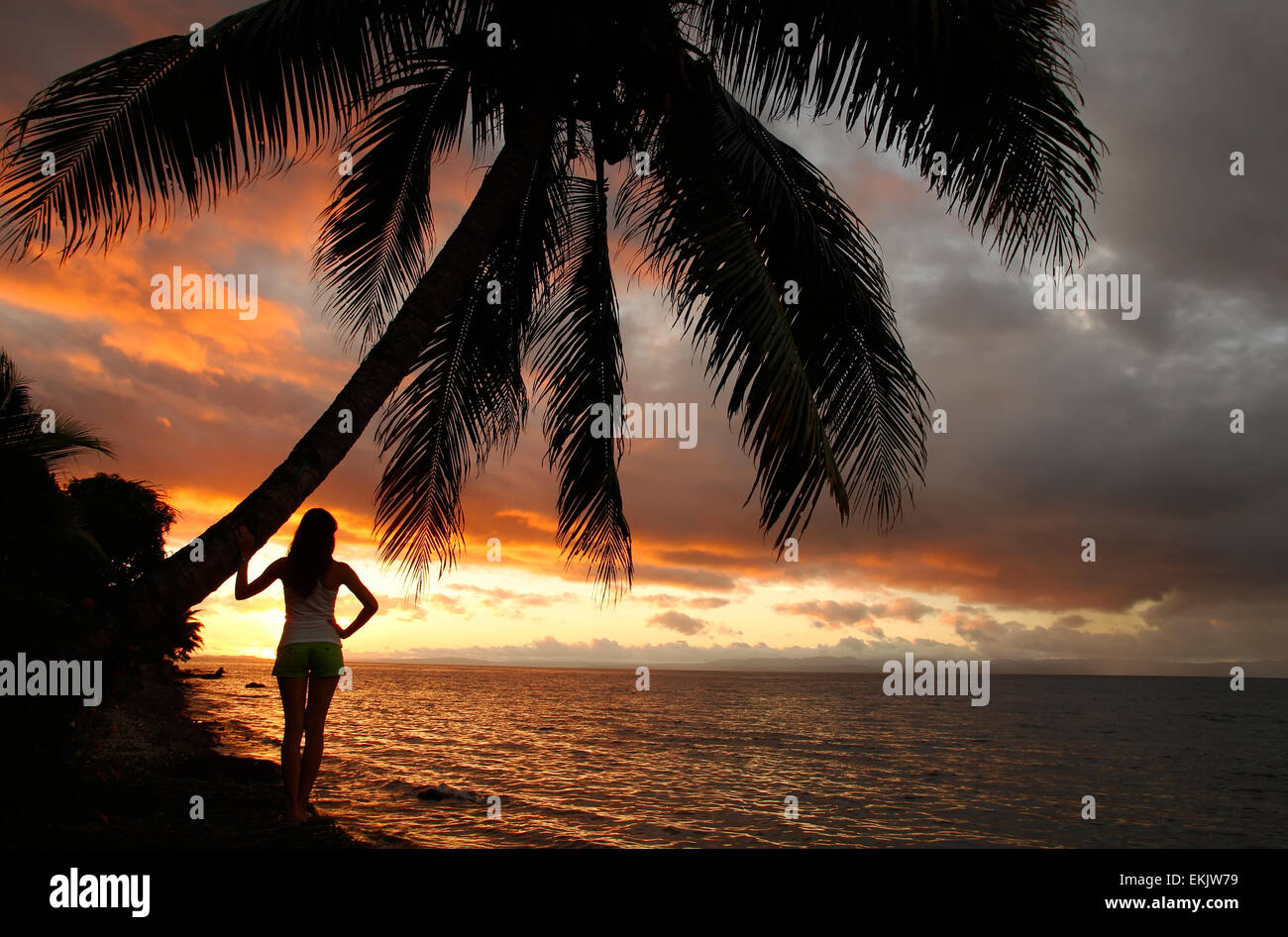 La silhouette du jeune femme par le palmier sur une plage, l'île de Vanua Levu, Fidji, Pacifique Sud Banque D'Images