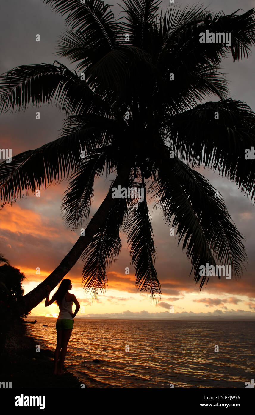 La silhouette du jeune femme par le palmier sur une plage, l'île de Vanua Levu, Fidji, Pacifique Sud Banque D'Images