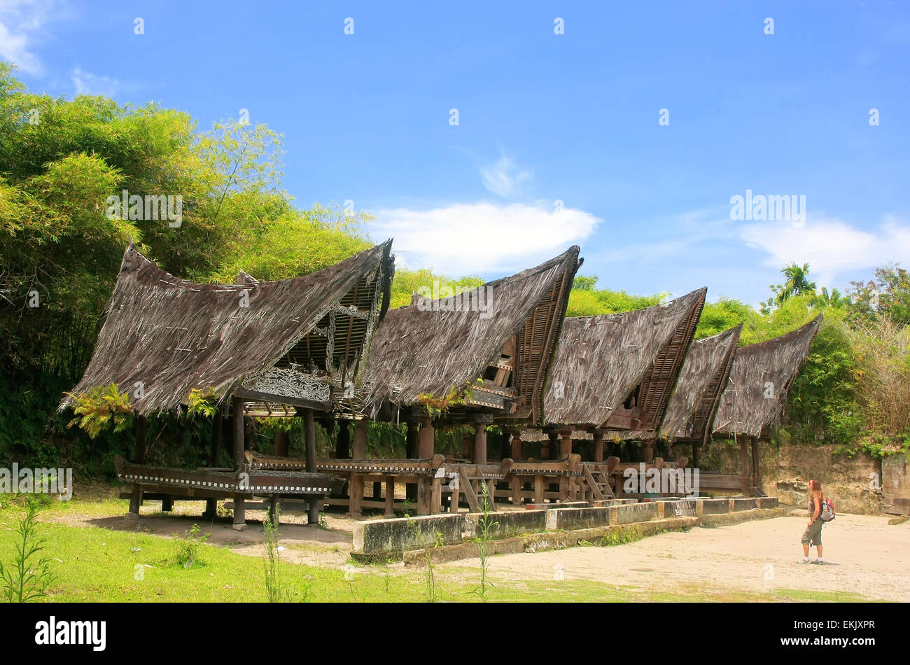 Maisons Batak traditionnel sur l'île de Samosir, Sumatra, Indonésie, Asie du sud-est Banque D'Images
