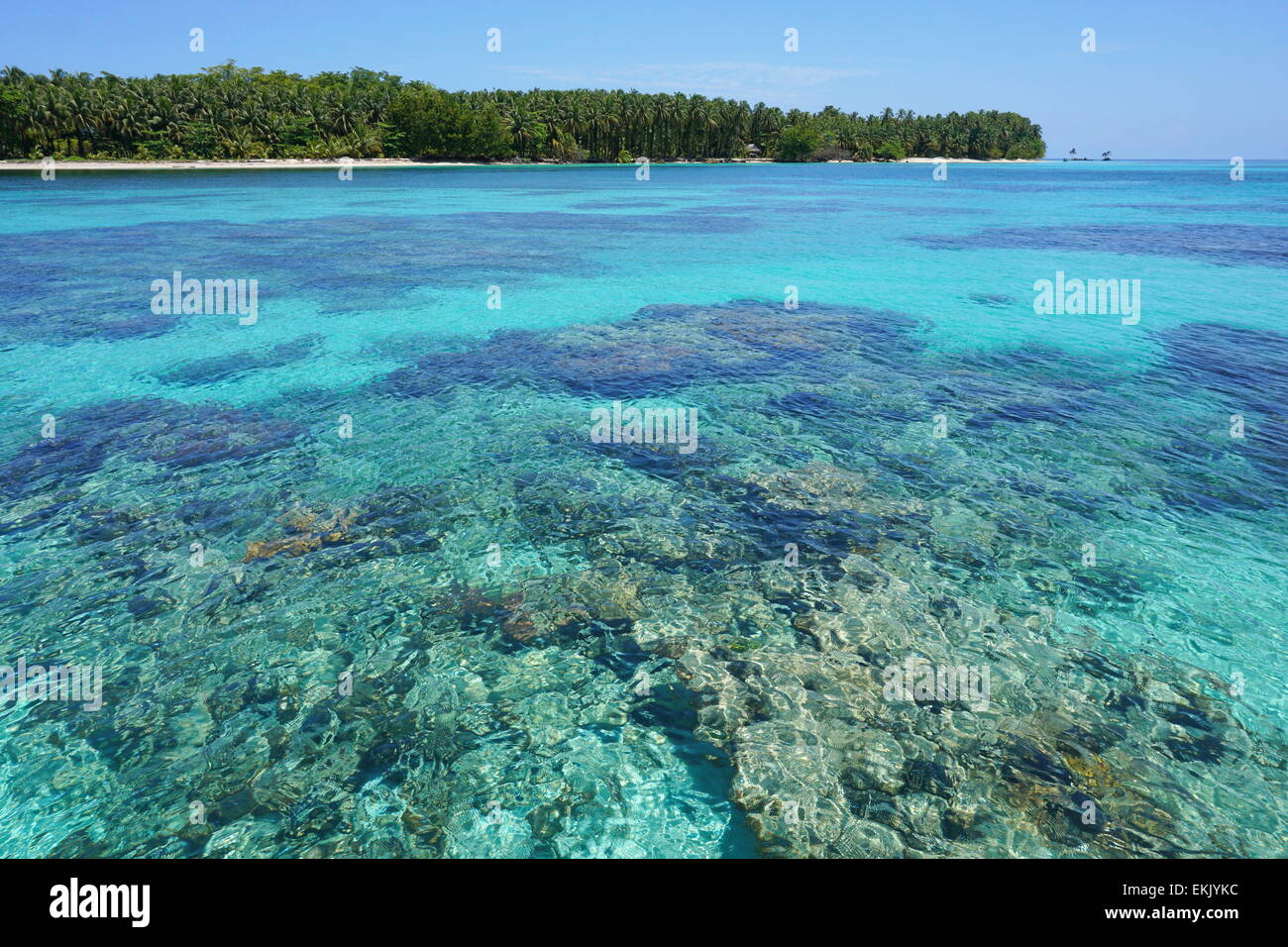 L'eau turquoise avec la surface de la mer de corail ci-dessous et une île tropicale vierge en arrière-plan, des Caraïbes, Cayos Zapatilla, Boca Banque D'Images