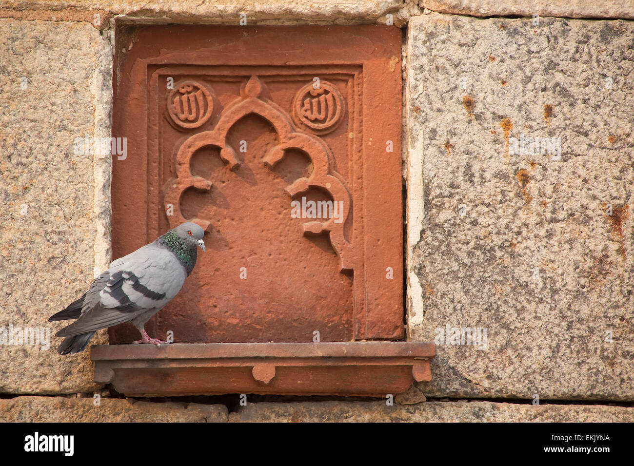 Détail d'Isa Khan Niyazi tombe avec un coin décoration pigeon, Tombe de Humayun, Delhi, Inde complexe. Il a été le premier jardin-t Banque D'Images