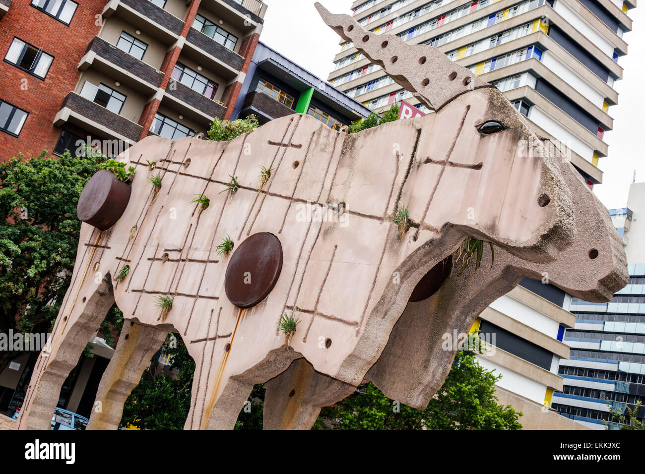 Johannesburg Afrique du Sud,artiste Clive van den Berg Eland statue Gateway Braamfontein,béton,grand,géant,art public,SAfri150307005 Banque D'Images