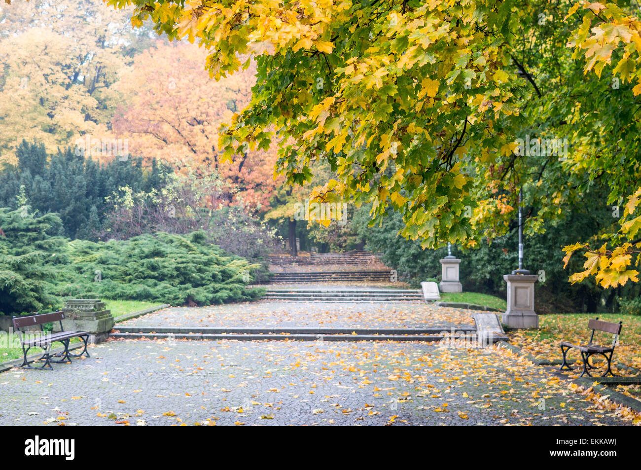 Parc Château Ujazdowski Varsovie en couleurs d'automne Banque D'Images