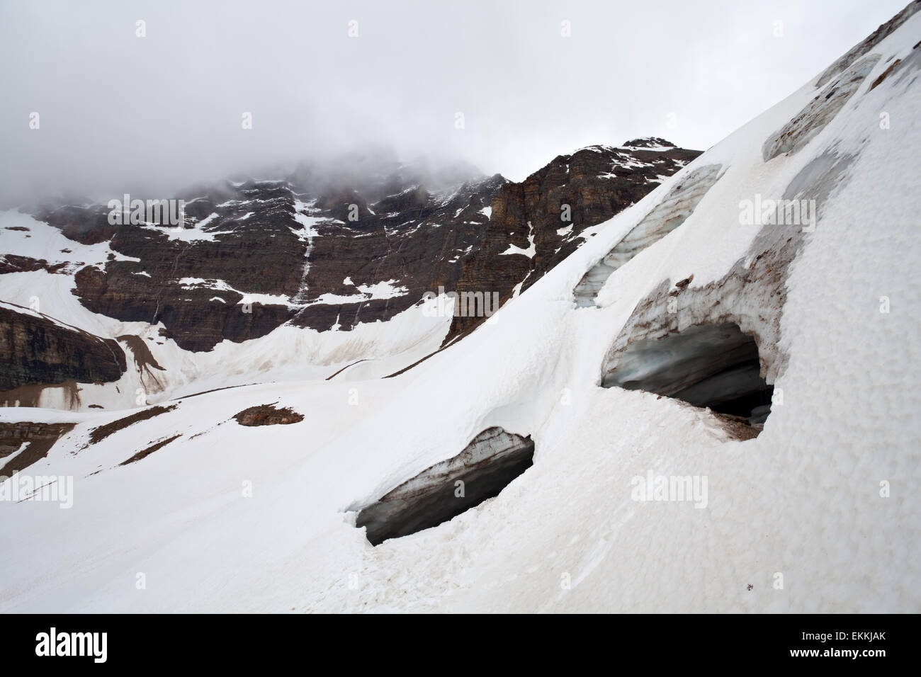 Grottes de glacier Opabin. Le parc national Yoho. La Colombie-Britannique. Le Canada. Banque D'Images