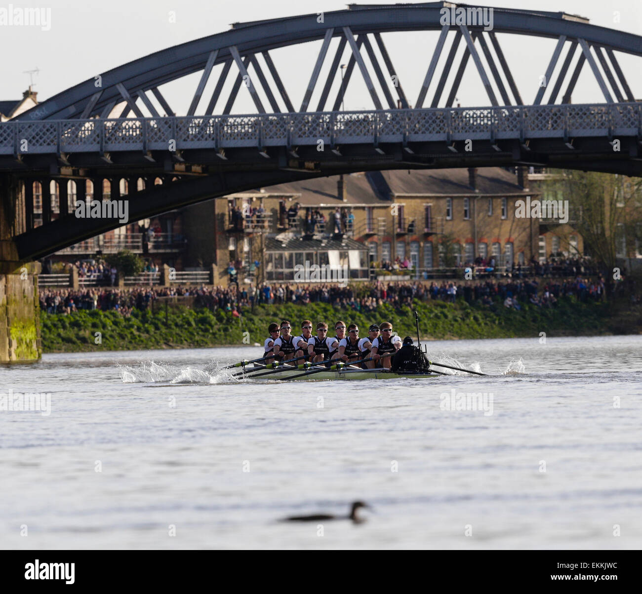 Londres, Royaume-Uni. Apr 11, 2015. Les courses de bateau de BNY Mellon 24. Mens Boat Race. L'équipage d'Oxford dans l'action de l'équipage d'Oxford - Bow : Geffen, 2 : James O'Connor, 3 : Henry Goodier, 4 : Tom Swartz, 5 : Jamie Cook, 6 : Michael DiSanto, 7 : Sam O'Connor, Course : Constantine Louloudis, Cox : Crédit : Hakim sera Plus Sport Action/Alamy Live News Banque D'Images Londres, Royaume-Uni. Apr 11, 2015. Les courses de bateau de BNY Mellon 24. Mens Boat Race. L'équipage d'Oxford dans l'action de l'équipage d'Oxford - Bow : Geffen, 2 : James O'Connor, 3 : Henry Goodier, 4 : Tom Swartz, 5 : Jamie Cook, 6 : Michael DiSanto, 7 : Sam O'Connor, Course : Constantine Louloudis, Cox : Crédit : Hakim sera Plus Sport Action/Alamy Live News Banque D'Images