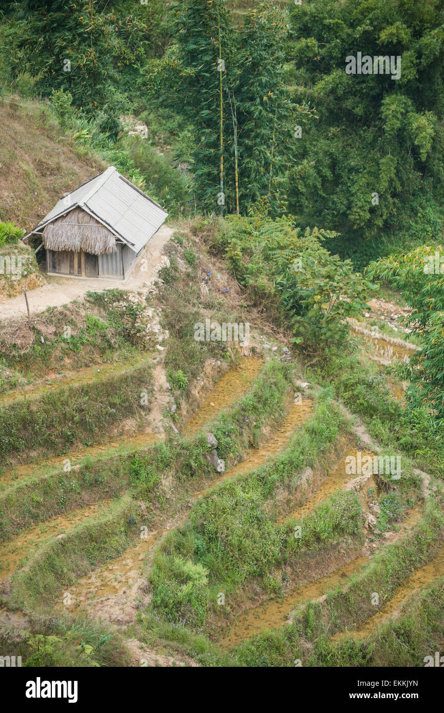 Vivre sur le bord. Une ferme dans le terrain accidenté de sapa au Vietnam. Banque D'Images