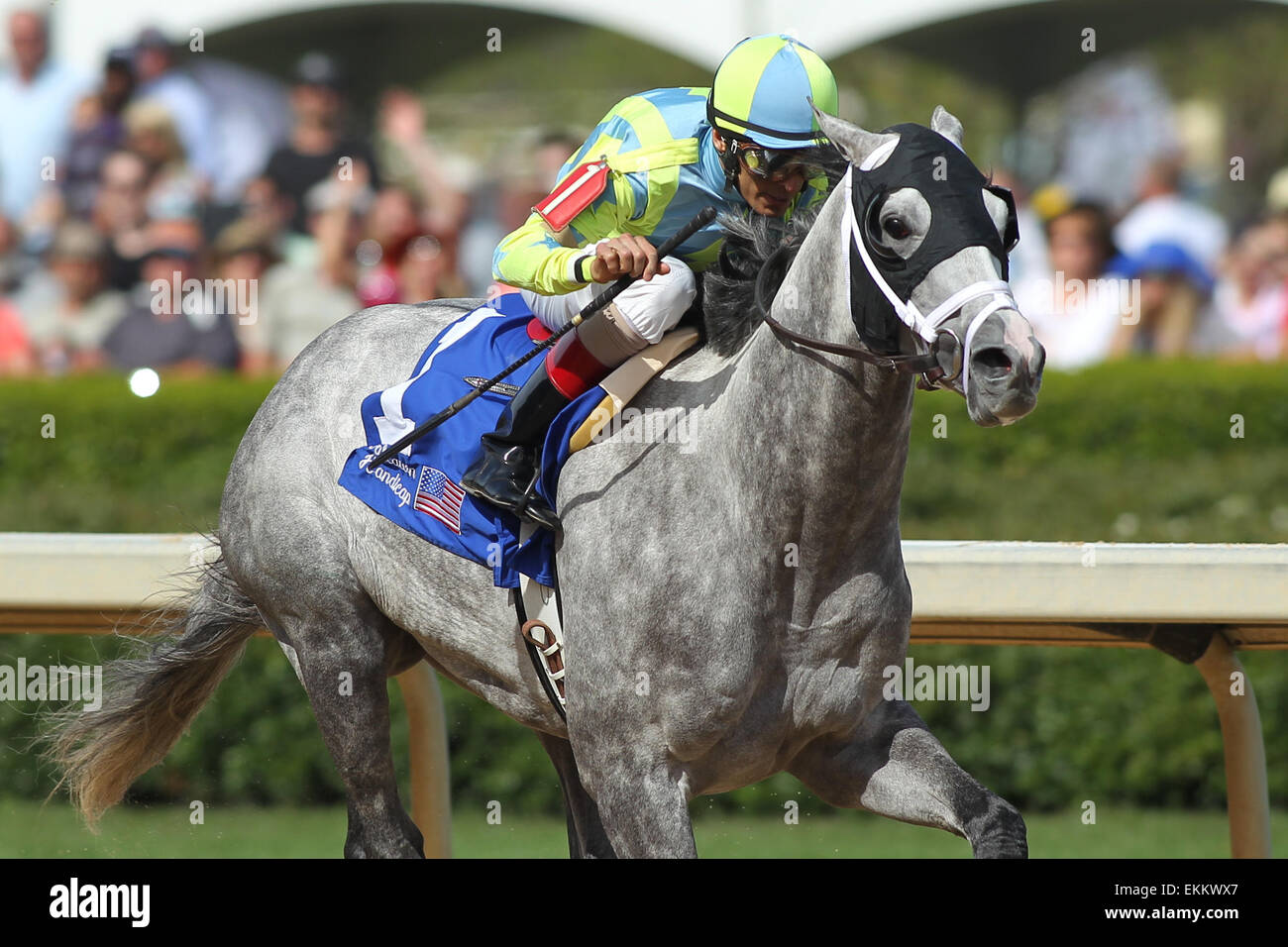 Hot Springs, Arkansas, USA. Apr 11, 2015. Jour de la course avant de franchir la ligne d'arrivée dans l'Oaklawn Hanicap à Oaklawn Park à Hot Springs, AR. Justin Manning/ESW/CSM/Alamy Live News Banque D'Images