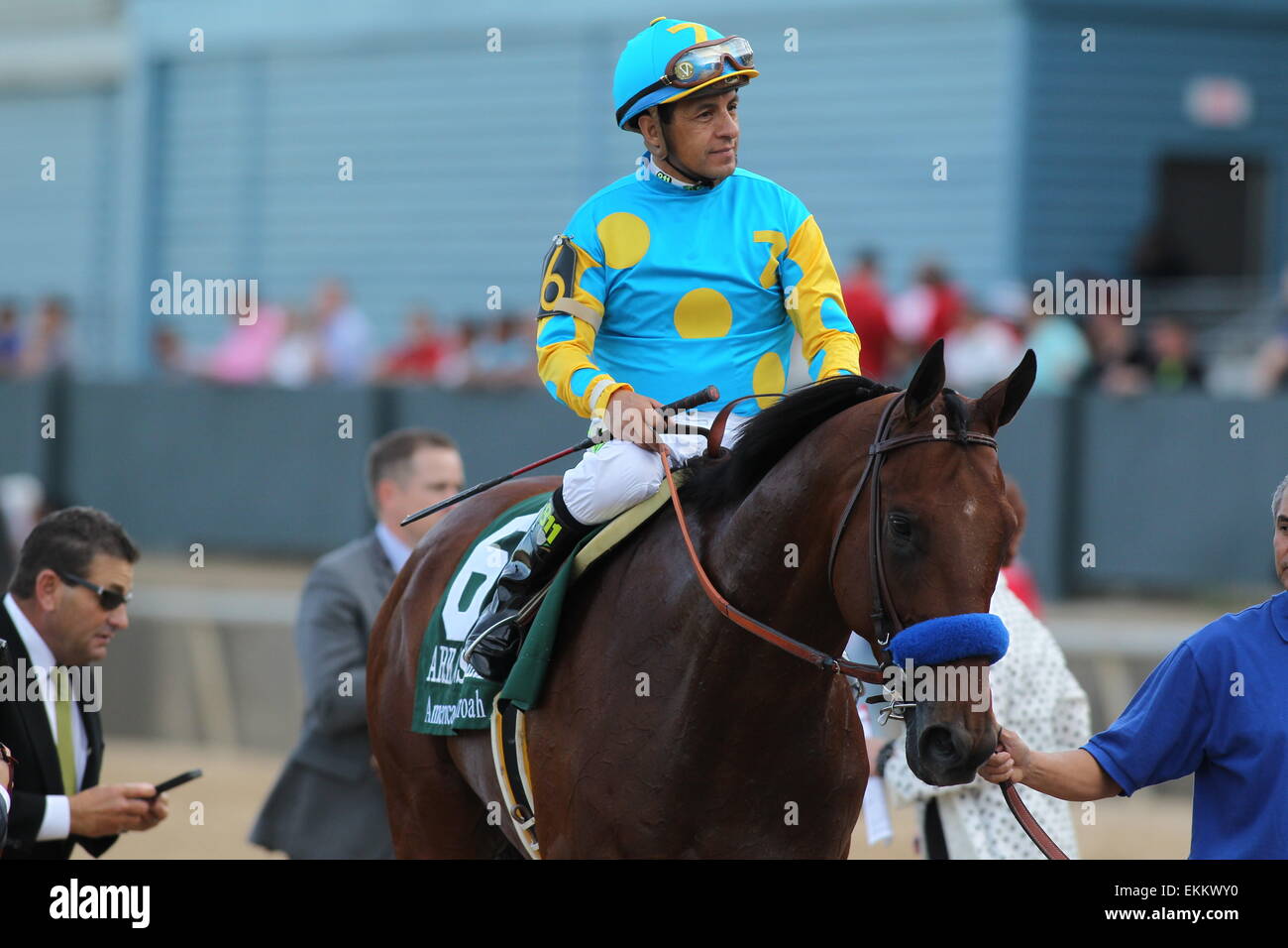 Hot Springs, Arkansas, USA. Apr 11, 2015. Pharoah américain avec Victor Espinoza jockey à bord après avoir remporté le Kentucky Derby à Oaklawn Park à Hot Springs, AR. Justin Manning/ESW/CSM/Alamy Live News Banque D'Images