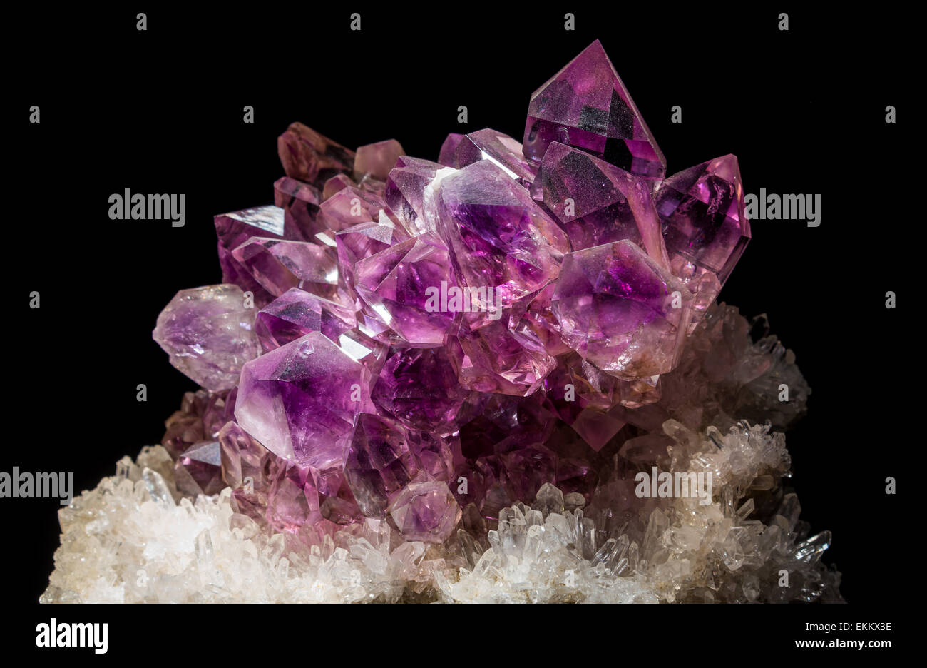 Une grappe de cristaux d'Améthyste, une variété de Quartz, SiO2. Banque D'Images