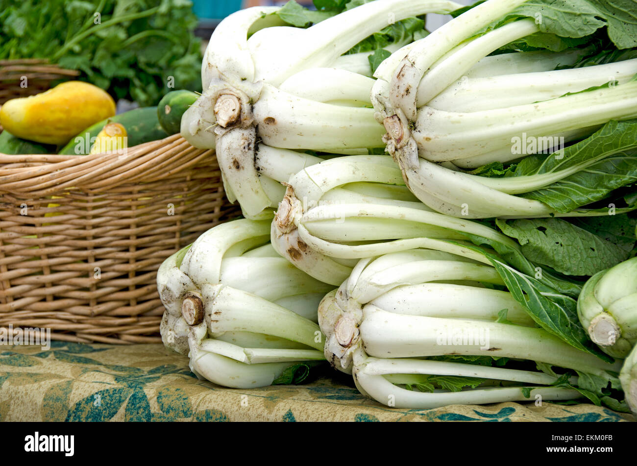 Le bok choy frais du marché agricole. Banque D'Images