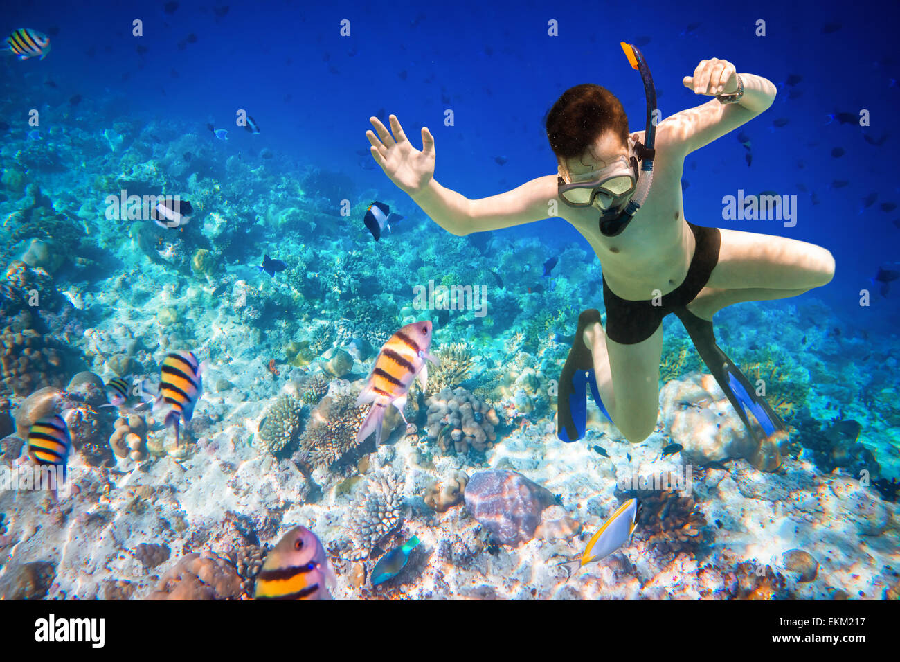 Snorkeler diving le long de la barrière de cerveau. Maldives - Ocean coral reef. Avertissement - photographier sous l'authentique dans des cond Banque D'Images