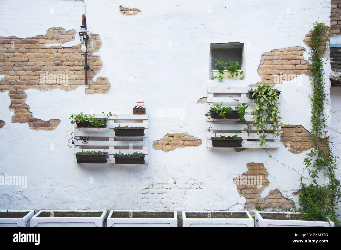 Stockage de palettes industrielles blanc utilisé dans le jardinage pour une décoration murale comme une étagère pour pots et autres objets. Banque D'Images